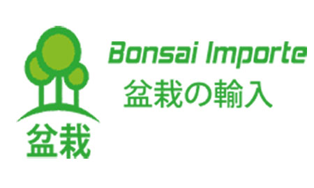 Bonsai- Importe.de