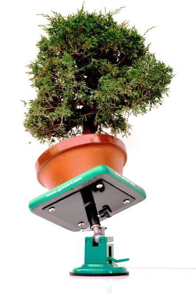 beck bonsai Performance Beck Bonsai P Kaufmann INdurance Fabric main image 1